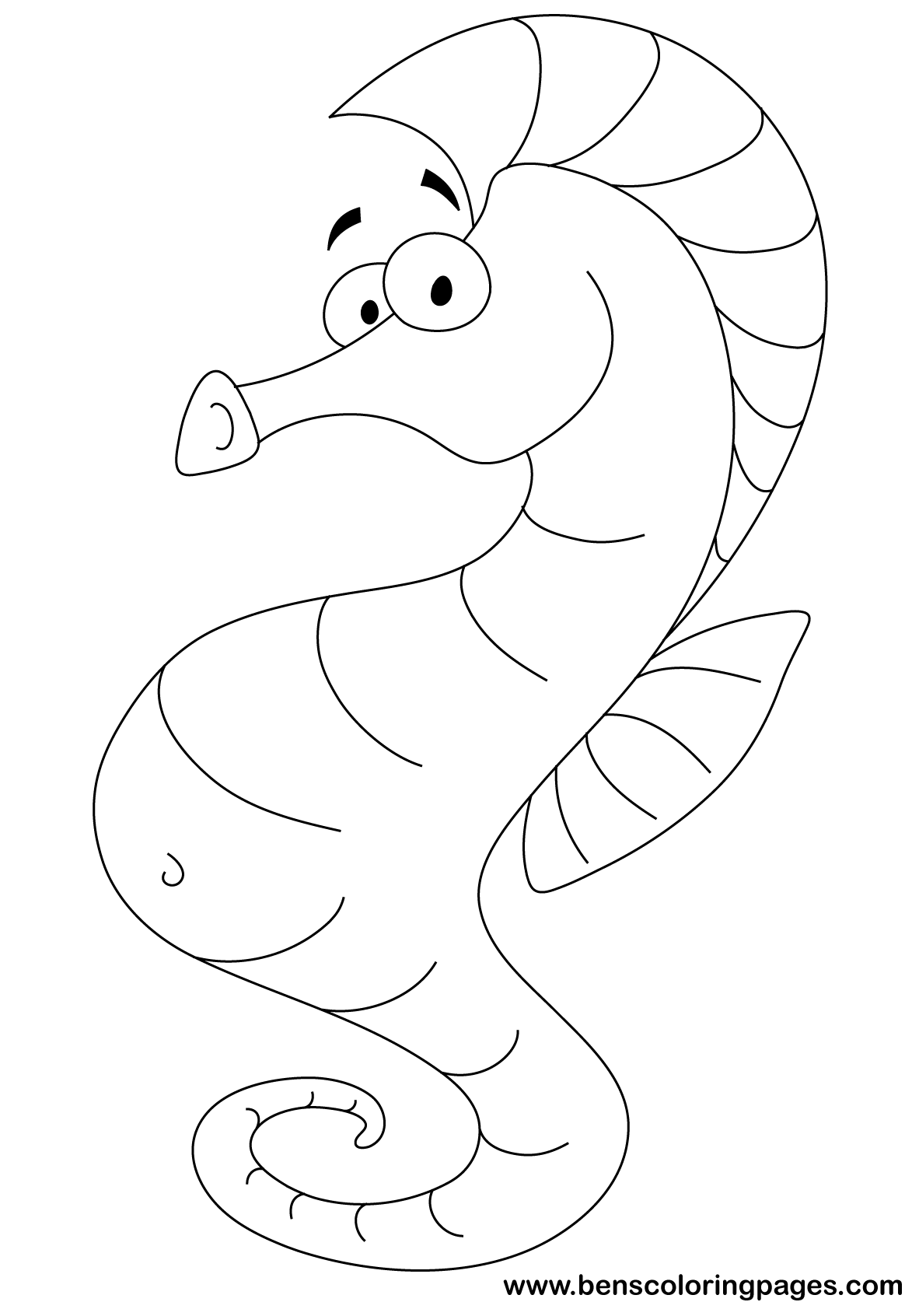 seahorse drawing