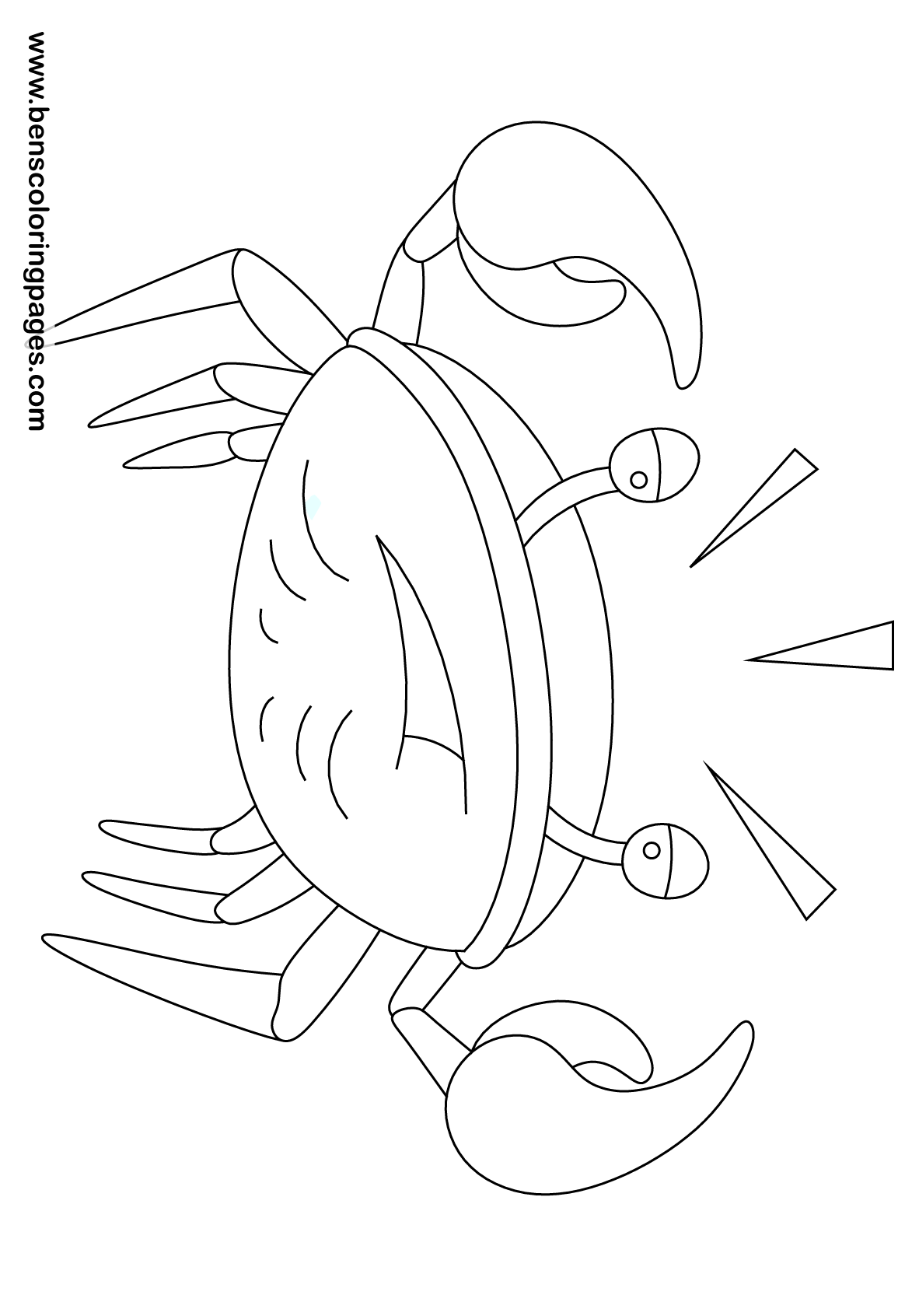 crab drawing book