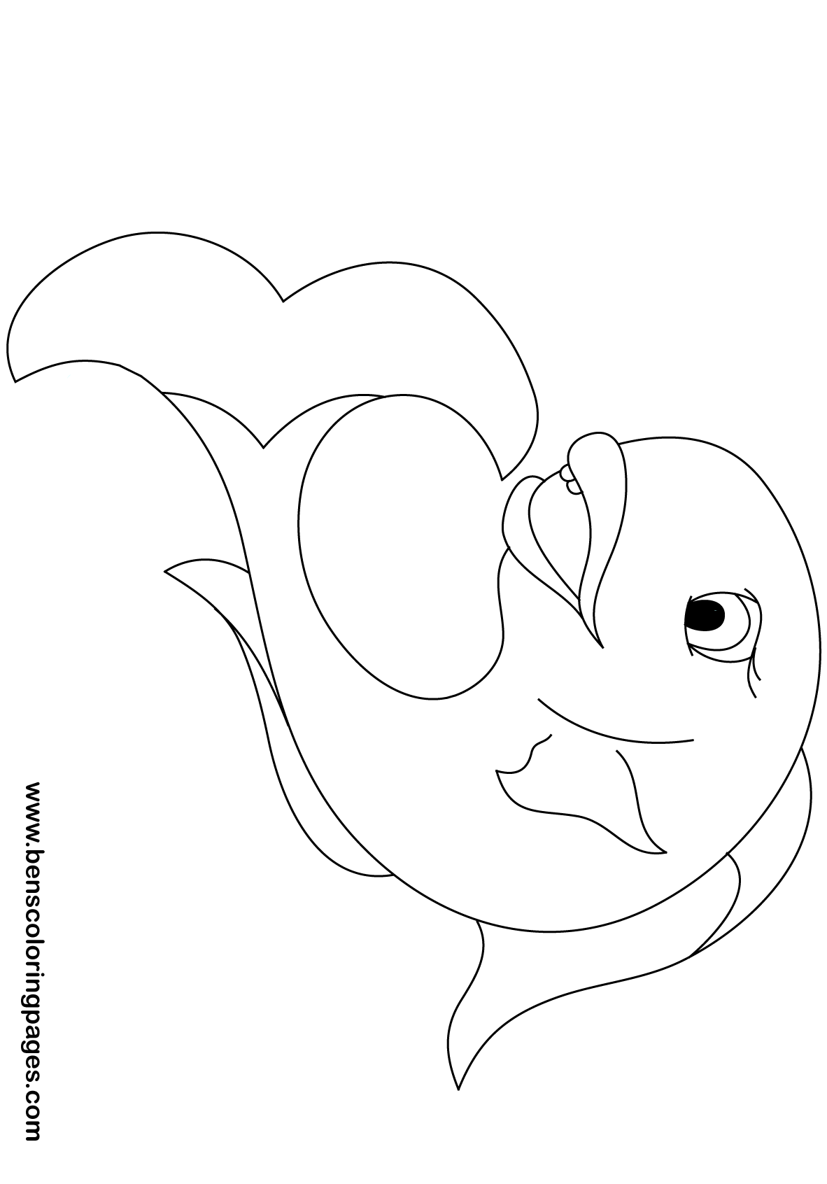 fish free drawing book