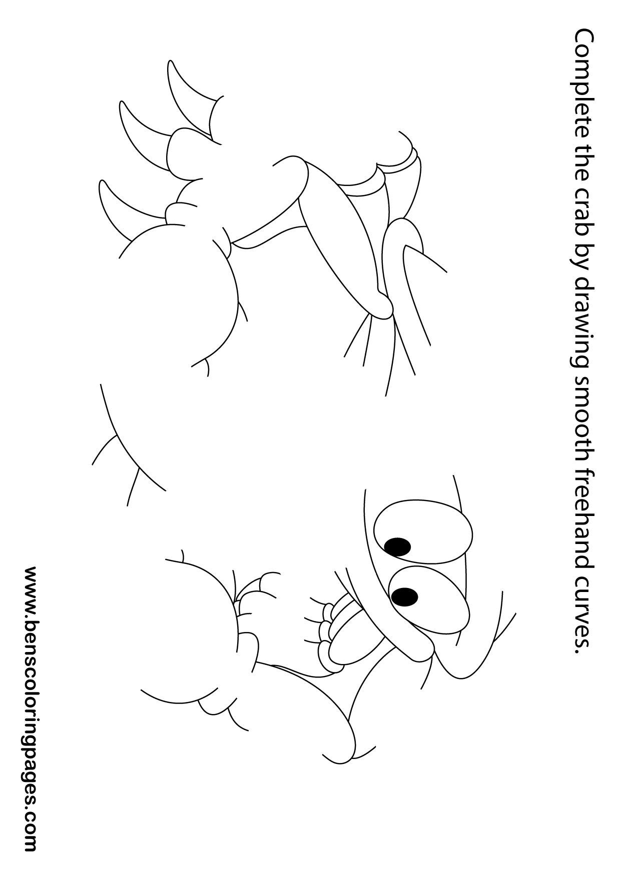 crab drawing book