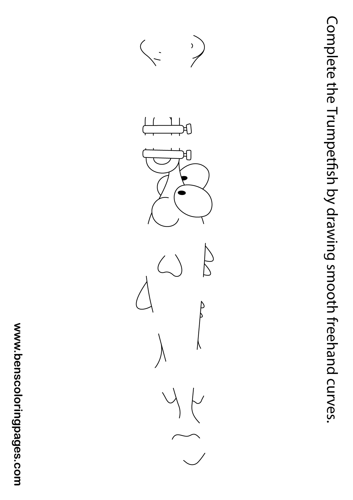 free hand aid design Trumpet fish