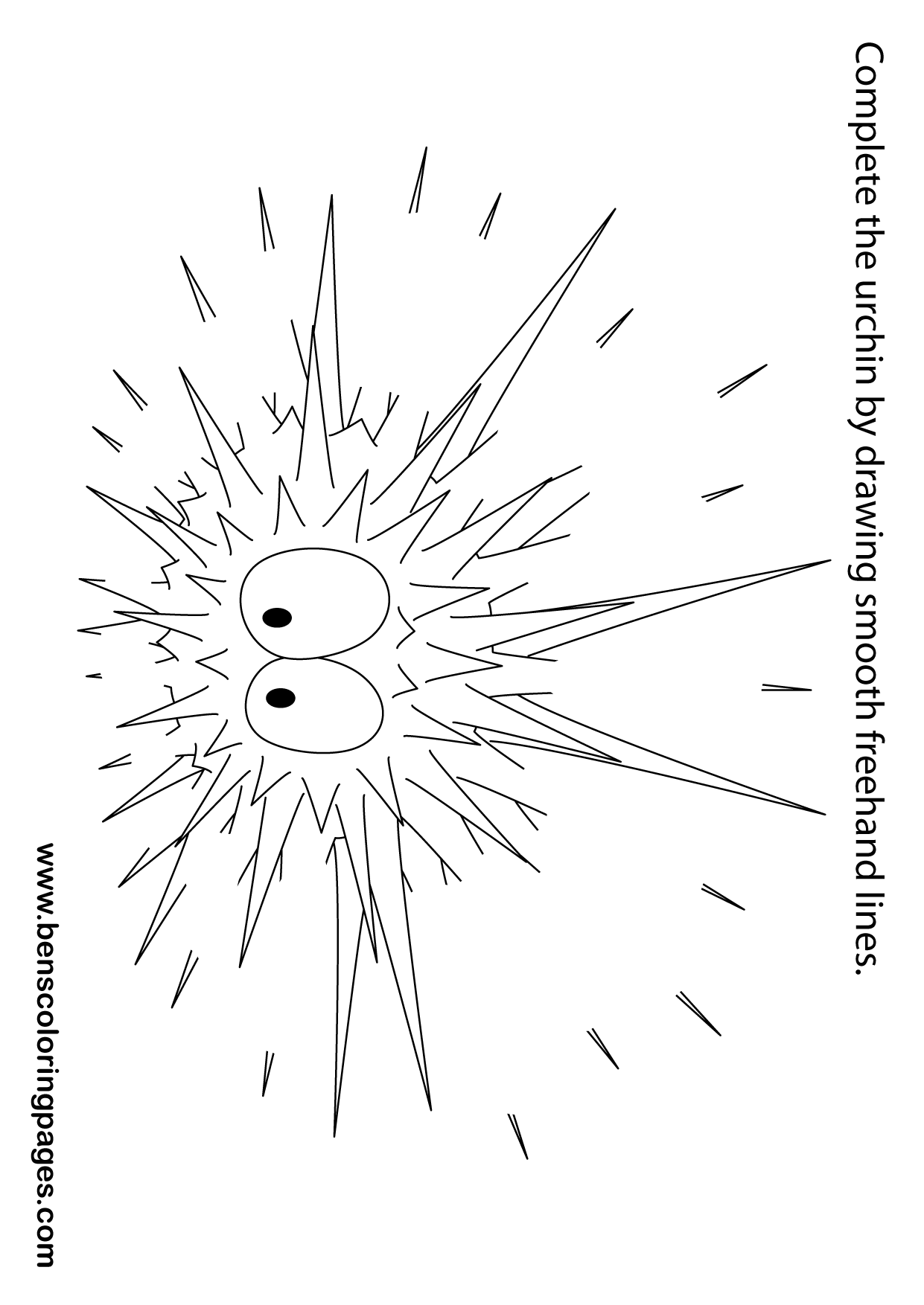 free hand aid design sea Urchin