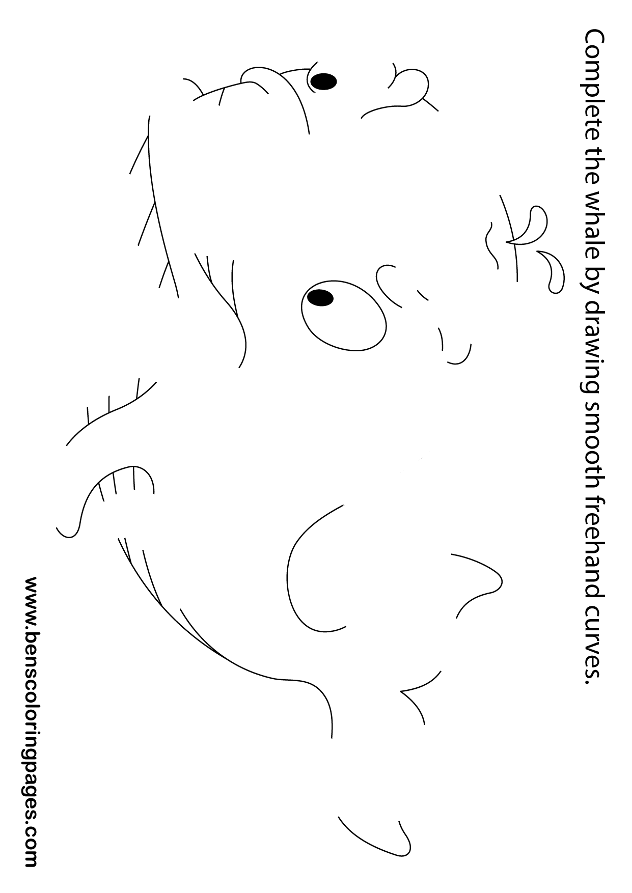 free handout Whale