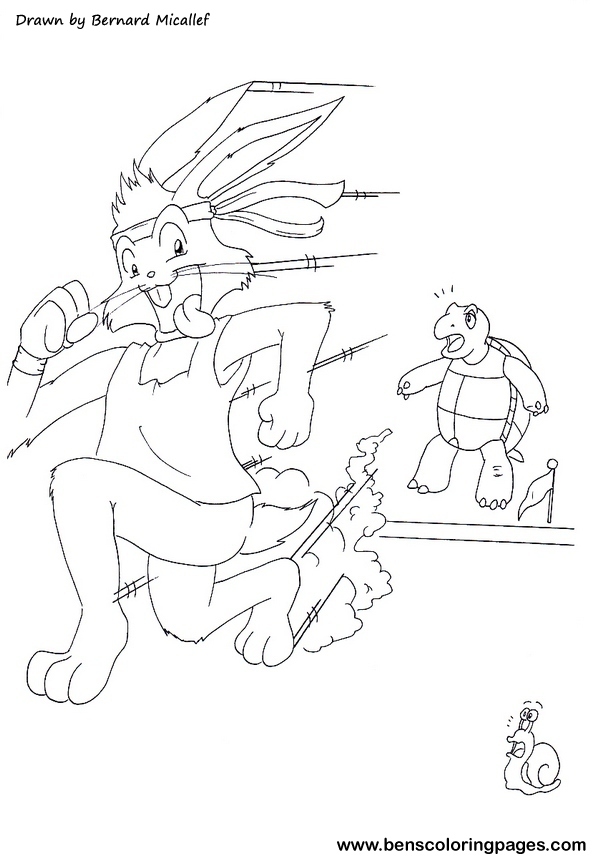 tortoise and the hare