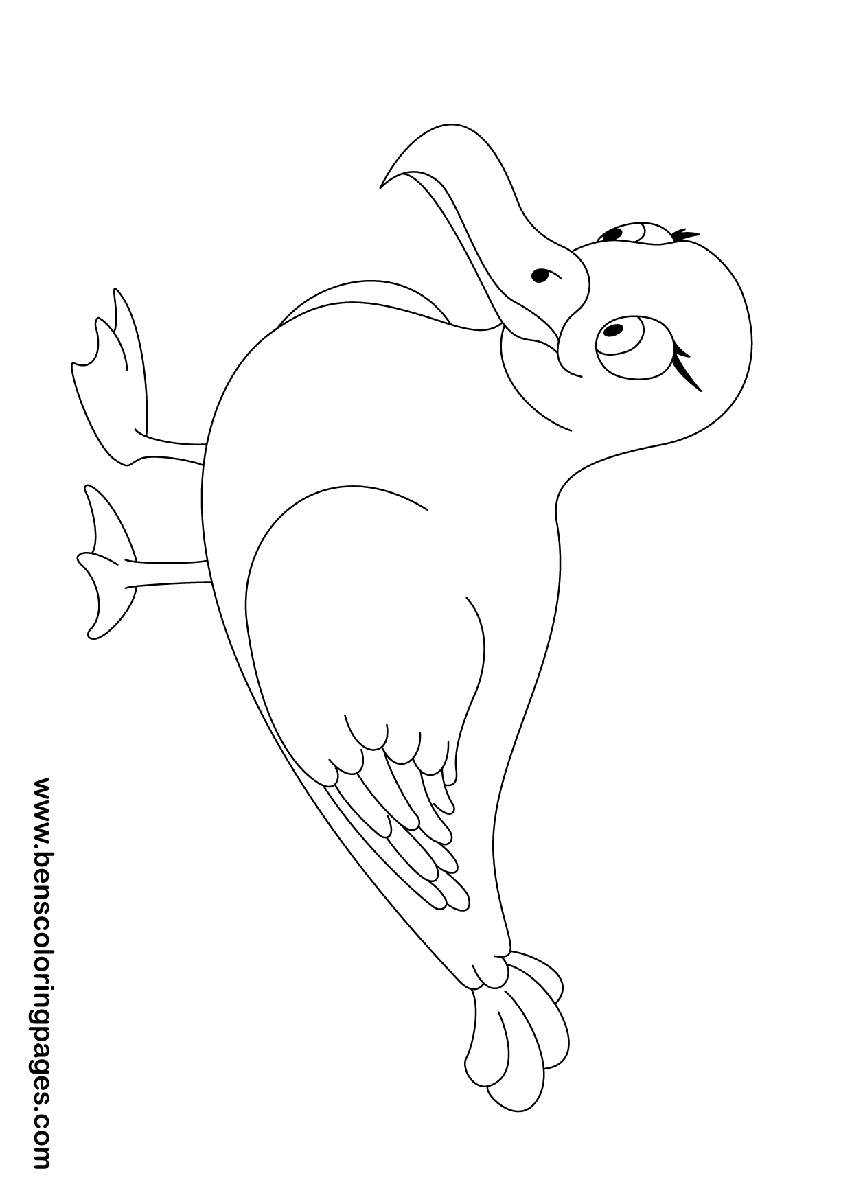 seagull coloring design
