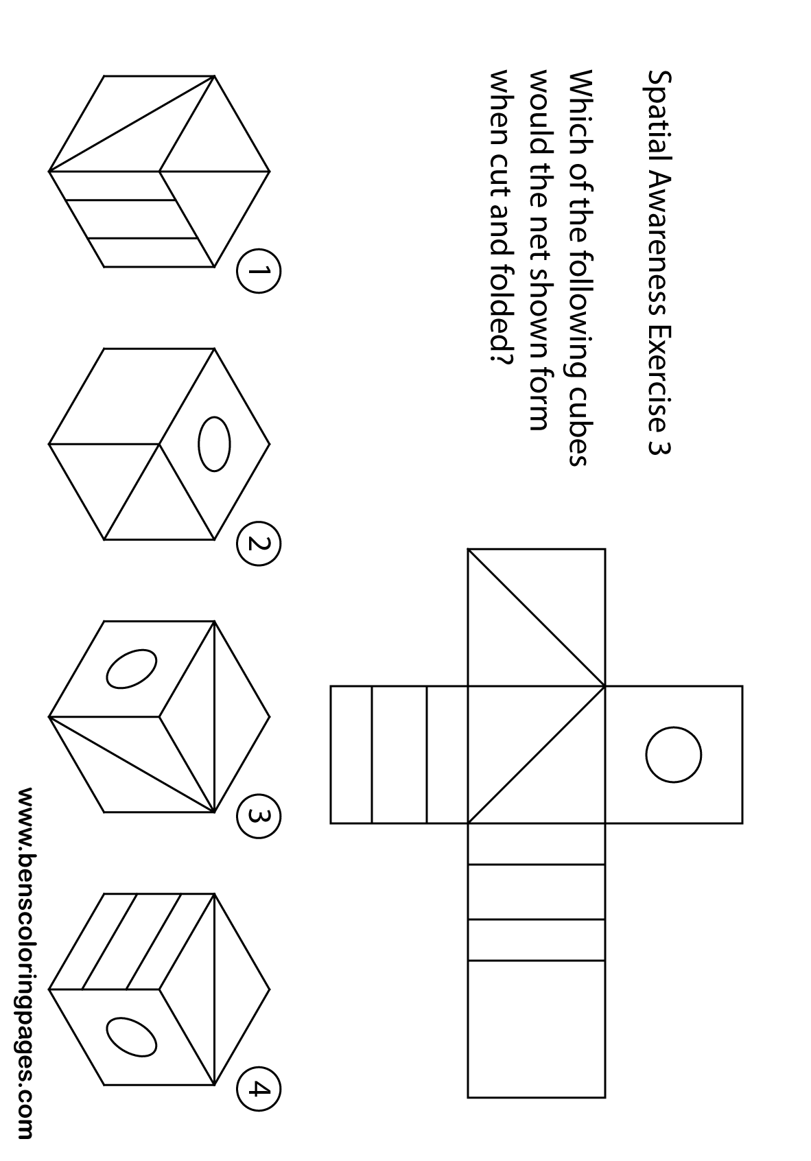 brain games training handouts