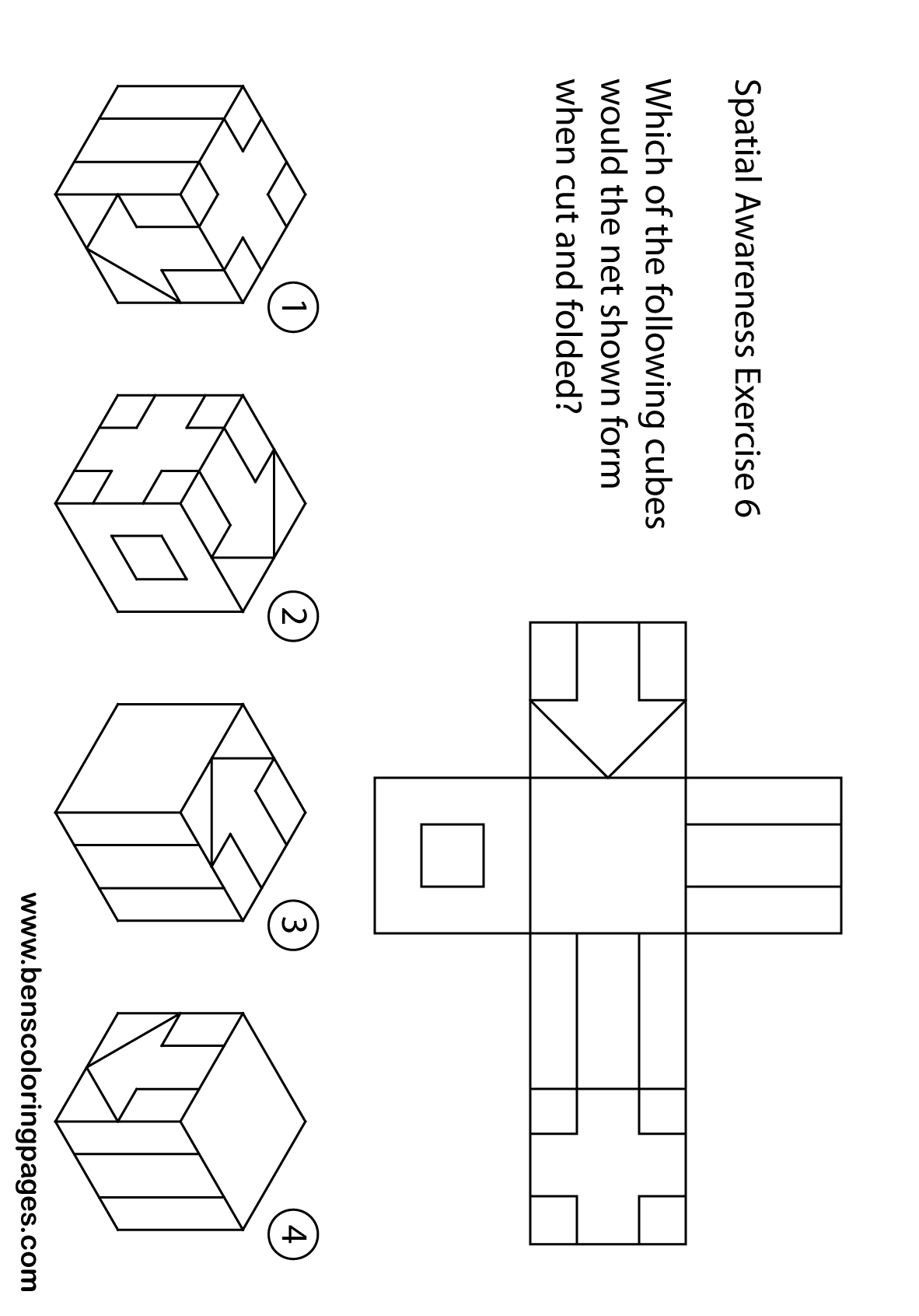 brain games excercises