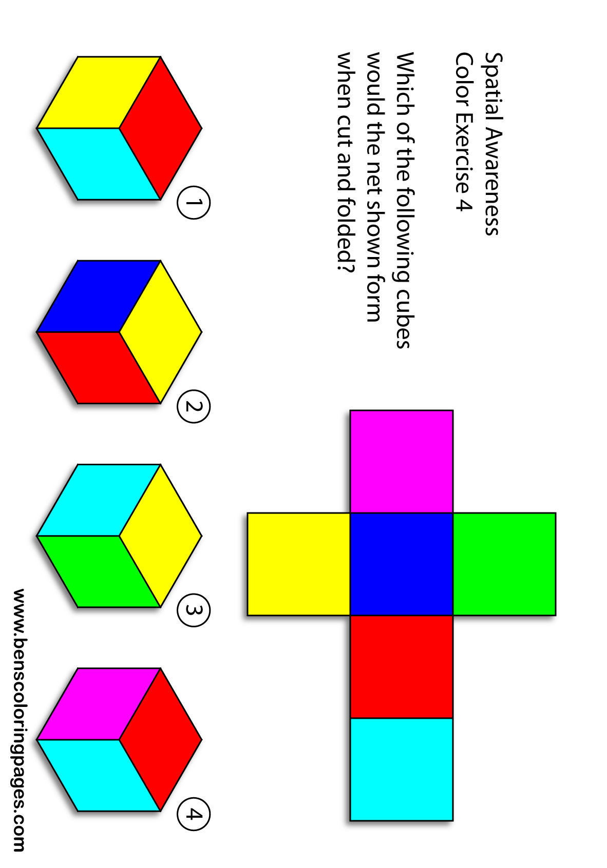 visual spatial ability