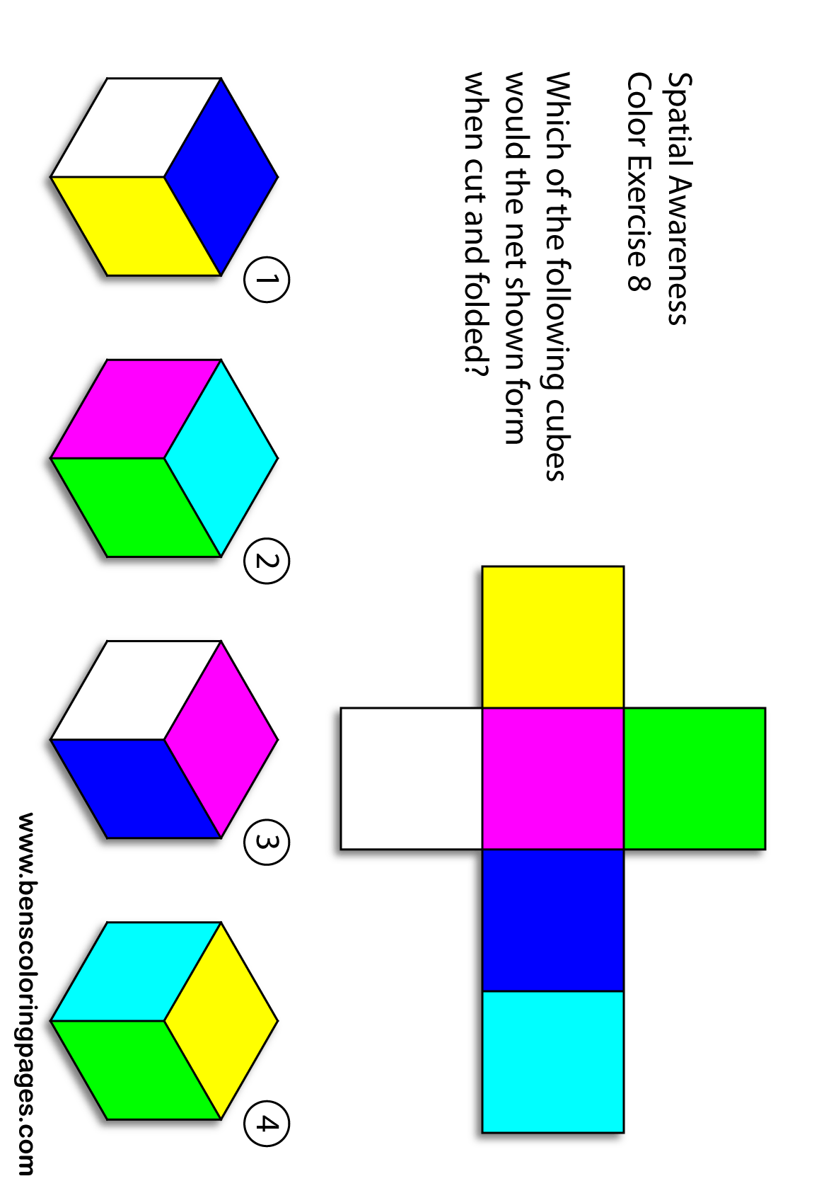 cognitive test