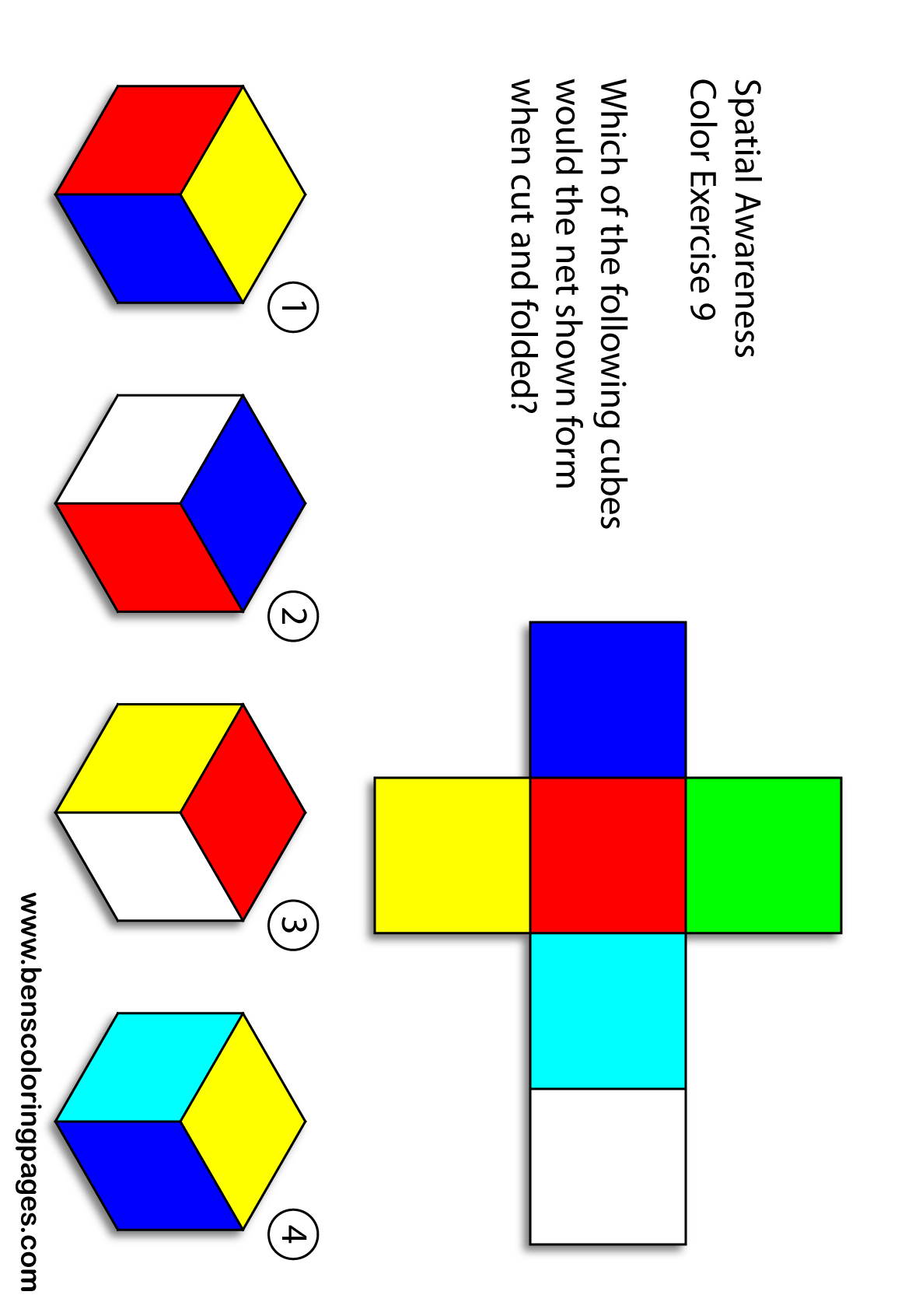 brain games handout