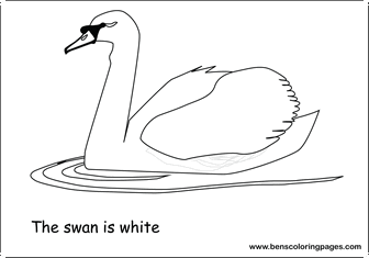 white color