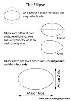 information about the ellipse