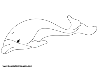 coloring pages dolphin