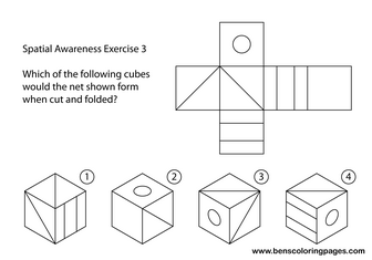 brain games and training