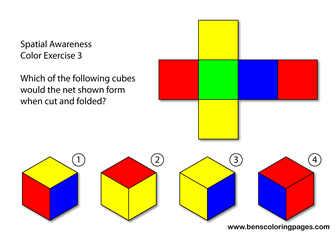 brain games exercise
