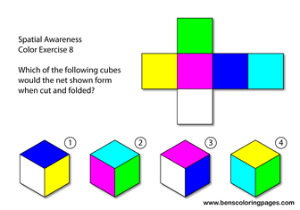 cognitive tests
