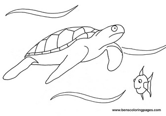 sammys tales image