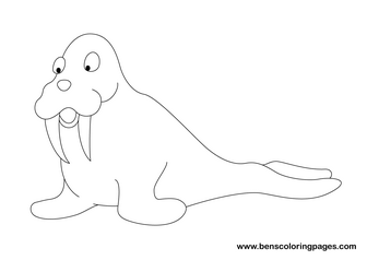 coloring page walrus