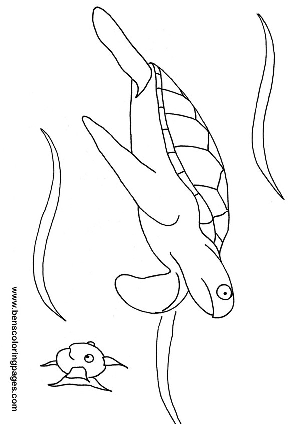 tortoise and fish coloring picture