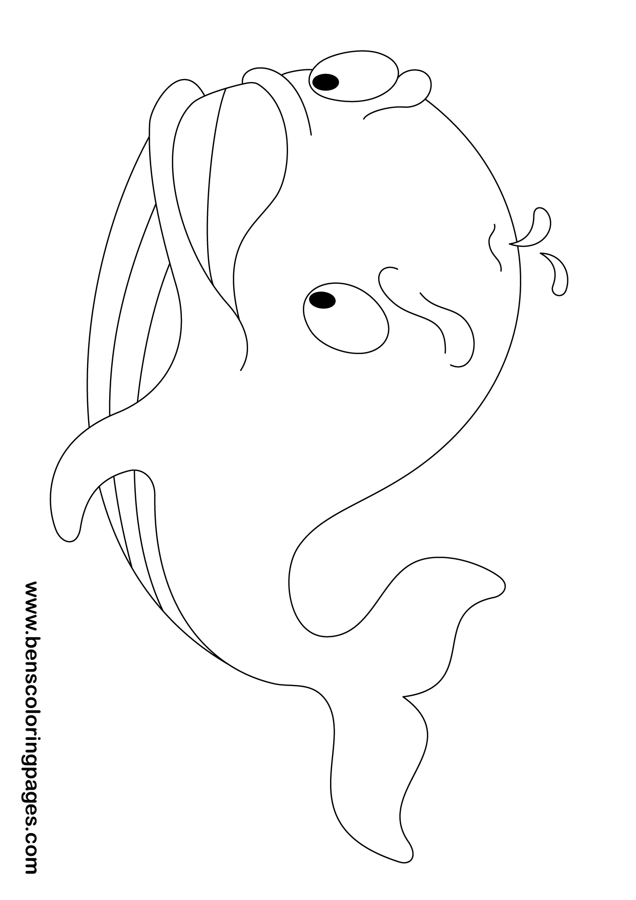 whale coloring book